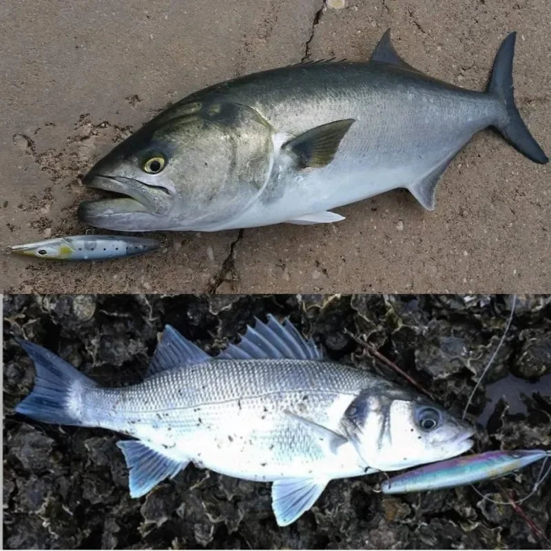 Teknik Fishing Lure 2024 Floating Pencil Bait 90/110/130mm Stickbait Asturies Wobbler Topwater asturie Lures for seabass bonitos